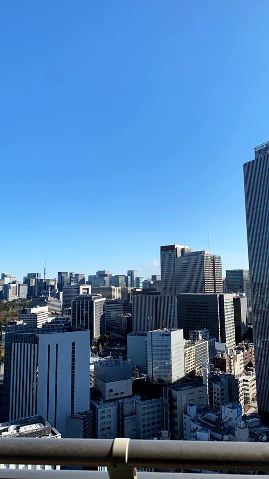 今年の私は「新興強靭」